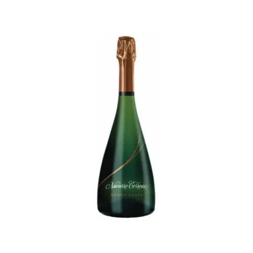 [200861] NAVARRO CORREA | SPARK EXTRA BRUT | 750 ML