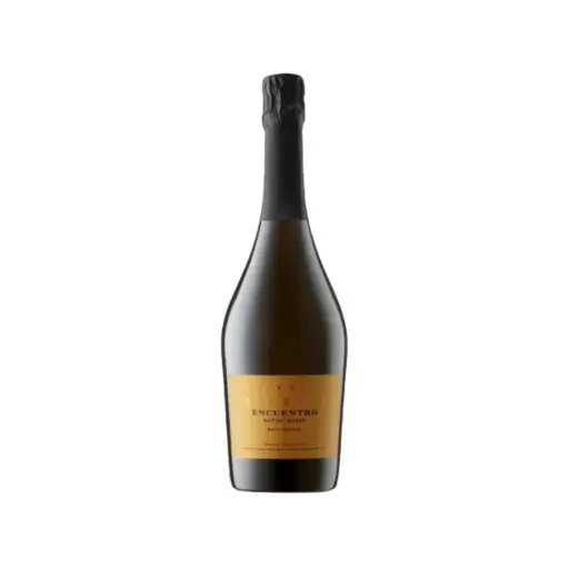[6138] RUTINI ENCUENTRO PINOT NOIR BRUT NATURE 750ml