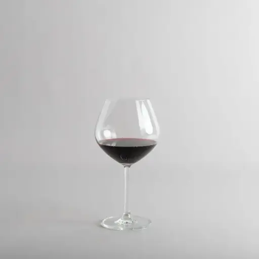 [11359] COPA SANTE BURGUNDY 635ml