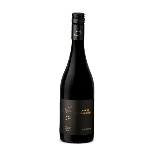 [200624] PERRO CALLEJERO | PINOT NOIR | 750 ML